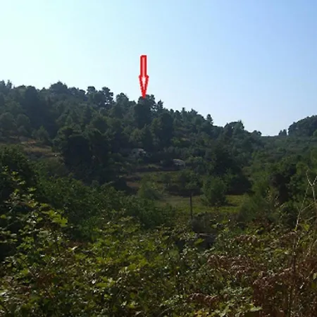 In Wildnes Of Island Nature בית נופש *